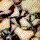 pavonazzetto marble